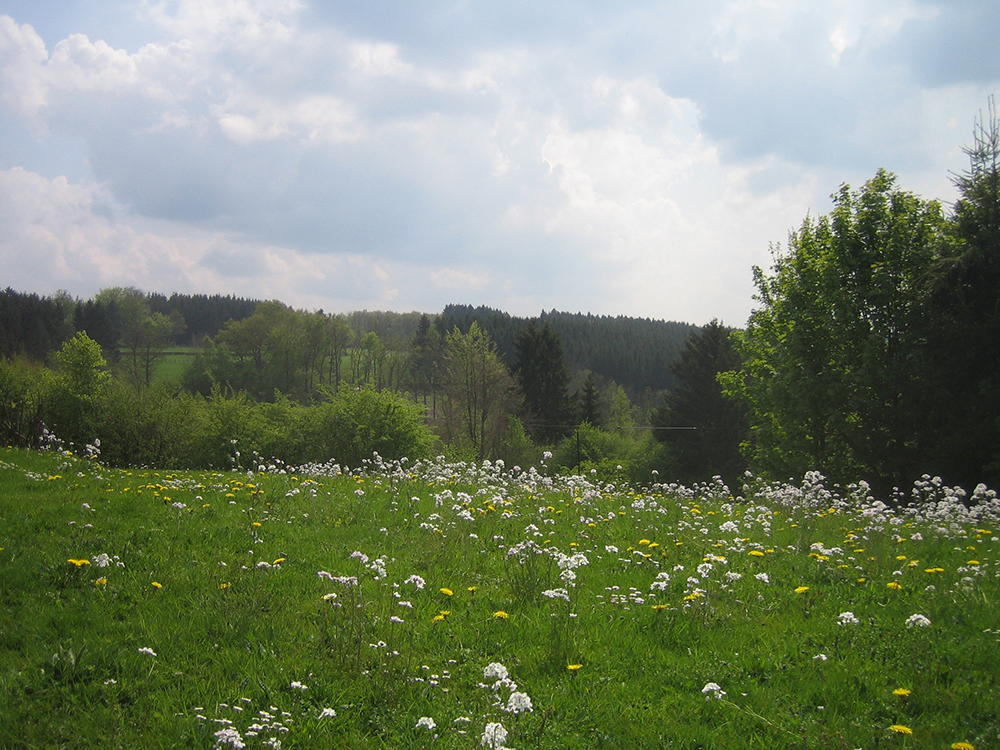 Ardenne Villa - Extérieur